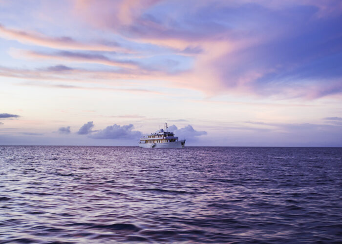 Grace-Sunset-2