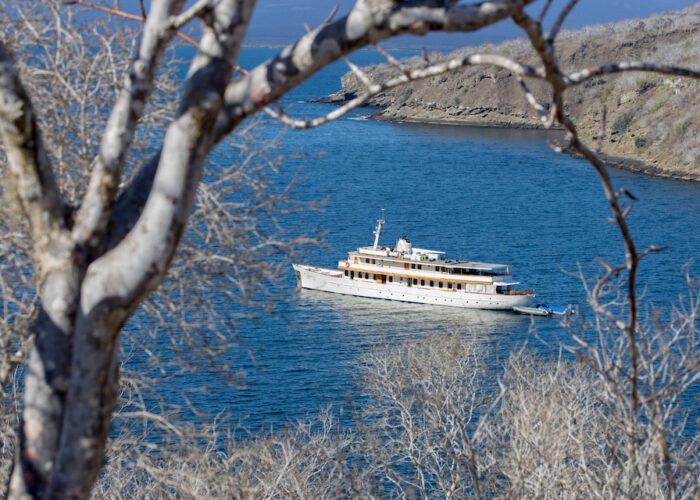 Grace-Tagus-Cove