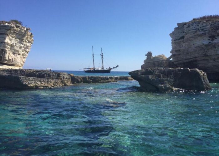 Rhea at Anti Paxos gap 2