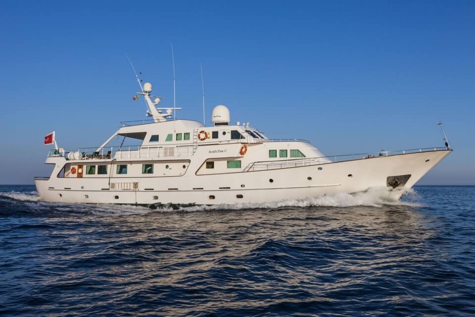 south paw c yacht