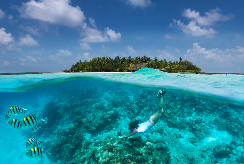 Snorkeling in the Maldives