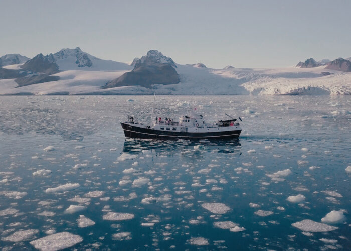 mv togo ice