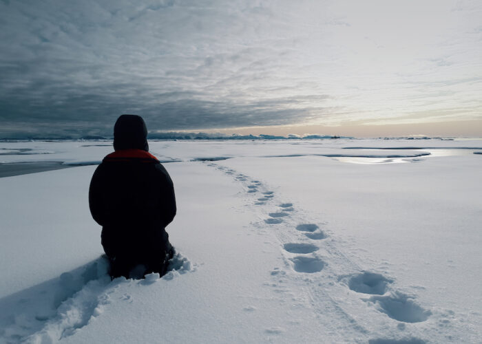 togo ice view