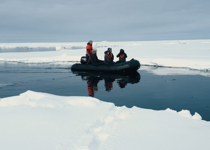 togo tender ice