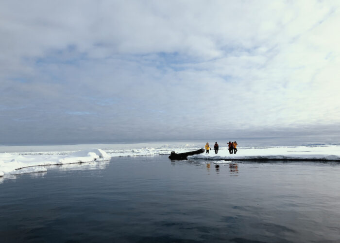 togo tender landing