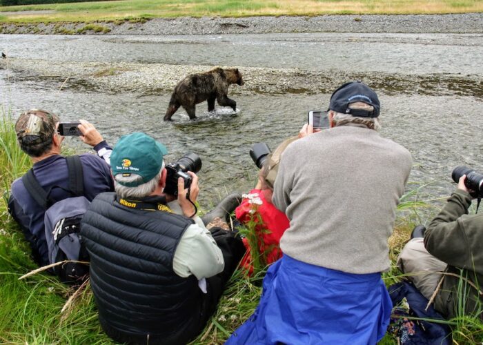 Sacajawea Bear Watching