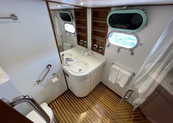 VIP ensuite Sink