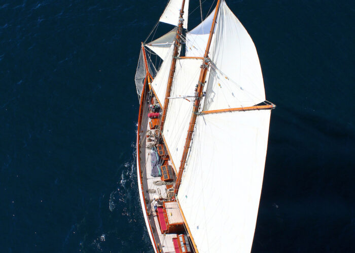 Aello Sailing Above