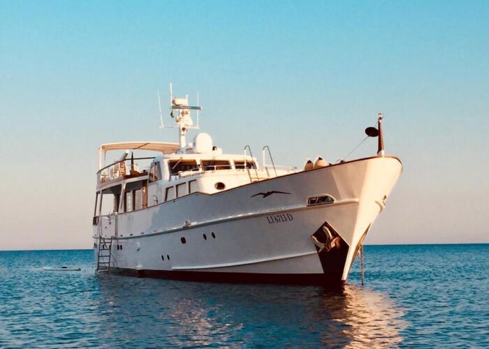 Nina Spirit of the Wind